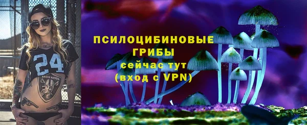 не бодяженный Карпинск